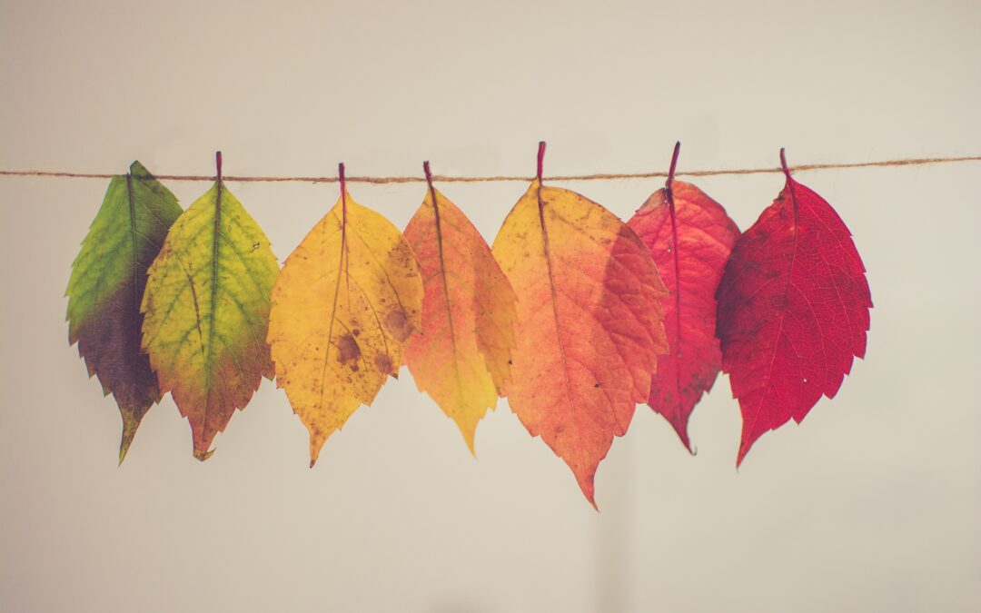 The Impact of Seasonal Changes on Your Home’s Foundation