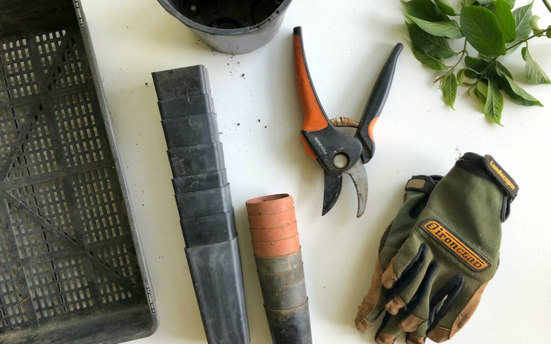 How DIY Landscaping Protects Your Home’s Foundation: Essential Tips by JDE Foundations