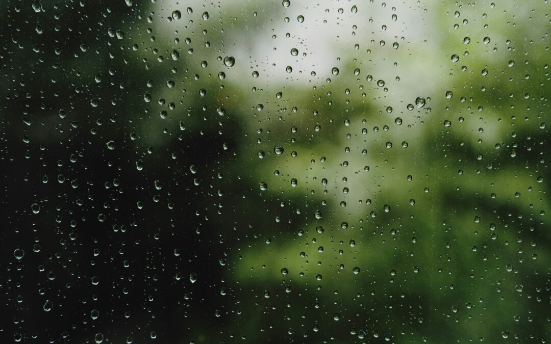 Moisture Management: A Foundation’s Best Friend